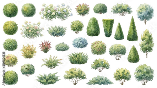 Architectural Watercolor Landscape Trees Shrubs and Garden Plants Vector Collection