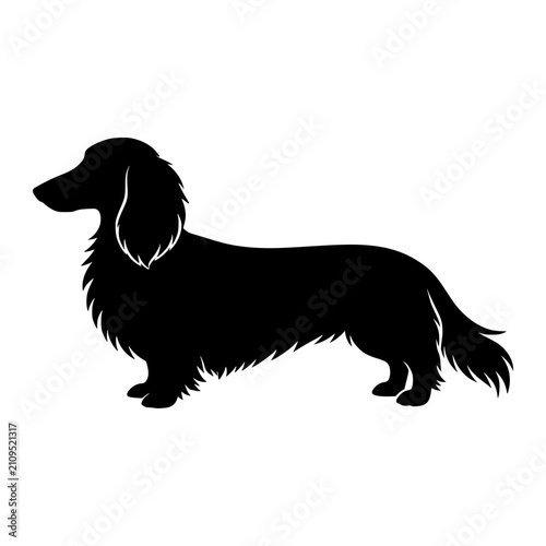 Long Haired Dachshund black silhouette vector illustration, simple flat clipart design isolated on white background