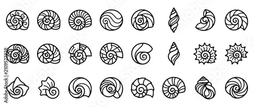 Set of Hand Drawn Seashell Icons and Marine Mollusk Shell Silhouettes
