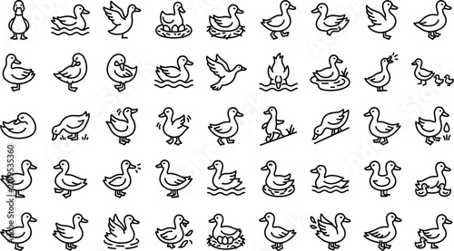 Obraz na płótnie Duck and Waterfowl Line Art Icon Set with Cute Outline Symbols for Farm Mallards