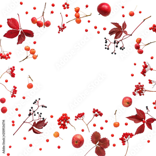 Autumn Frame of Red Apples, Rowan Berries and Fall Leaves Isolated on Transparent Background