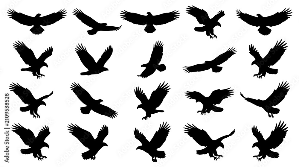 Fototapeta premium Flying Eagle Silhouette Vector Set with Majestic Birds of Prey in Dynamic Flight Poses