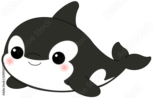 whale