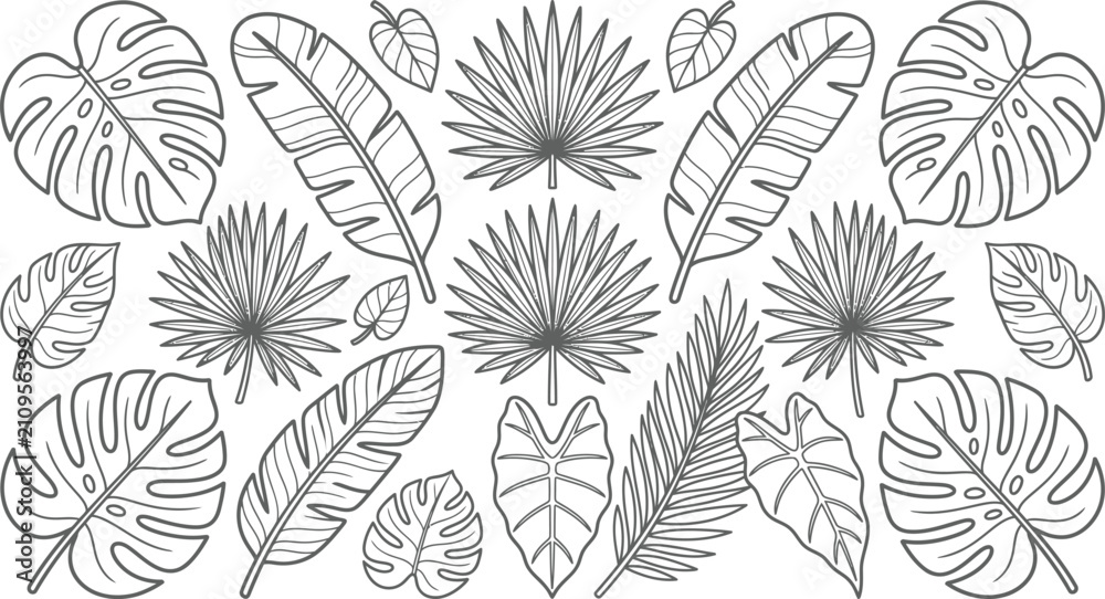 Fototapeta premium Detailed tropical jungle leaves coloring page vector drawing featuring exotic monstera and palm foliage for creative adult relaxation and botanical art projects