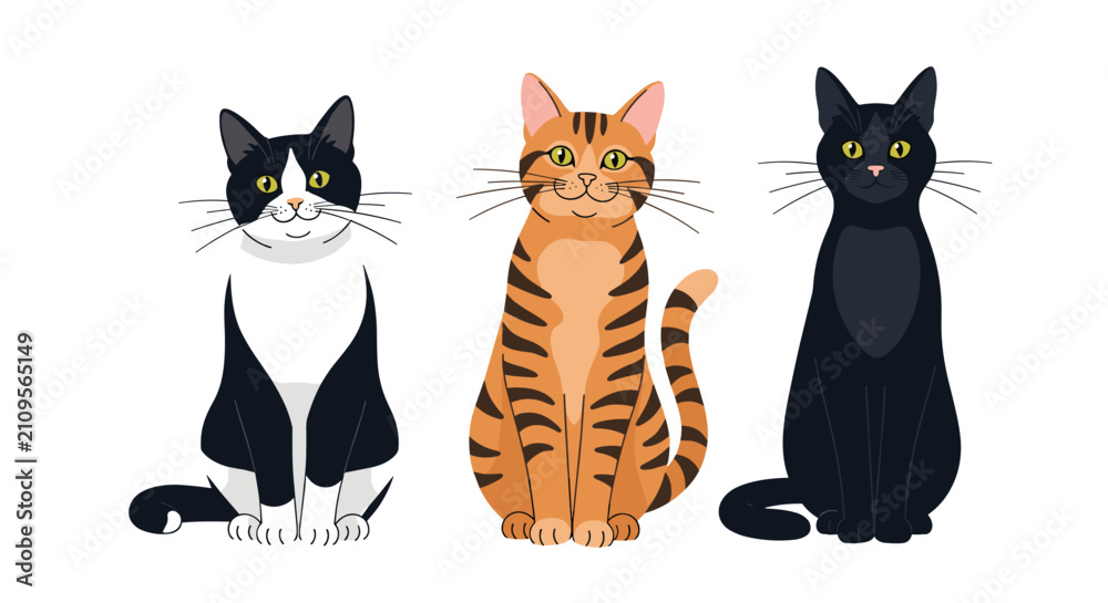 Fototapeta premium Three diverse domestic cats including a black and white tuxedo, an orange tabby, and a solid black cat sitting in a row.