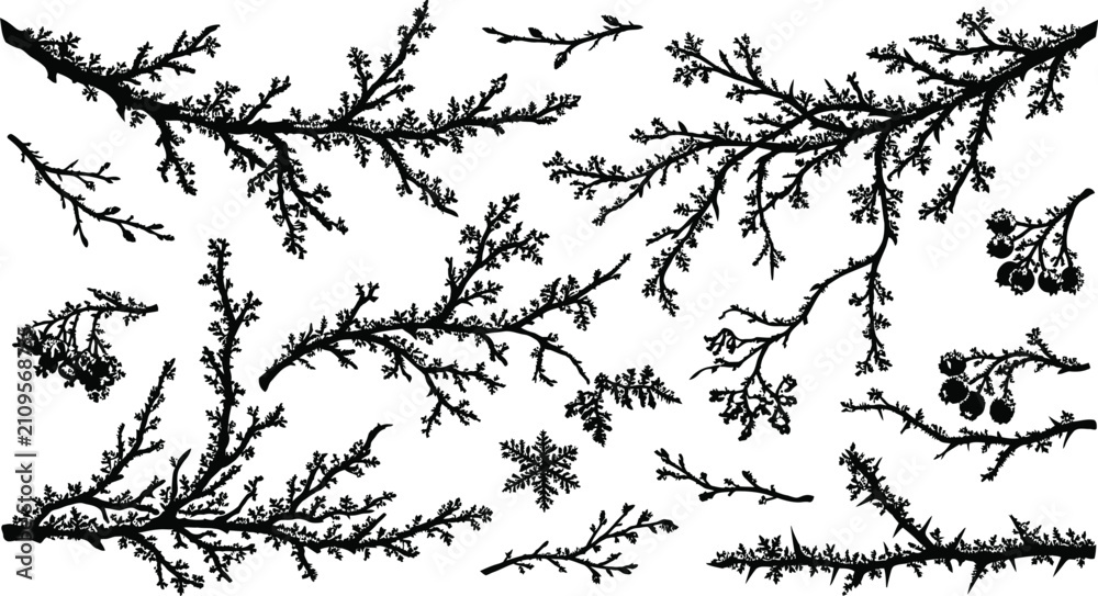 Obraz premium Hand drawn icy tree branches and winter frost twigs bundle with snowflakes silhouette vectors