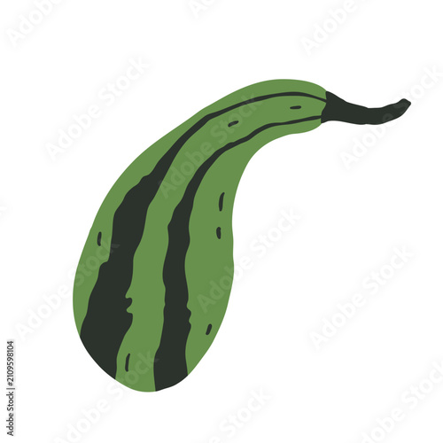 Stylized elongated pumpkin in dark green tones with bold stripes and curved form. Hand drawn vector illustration.
