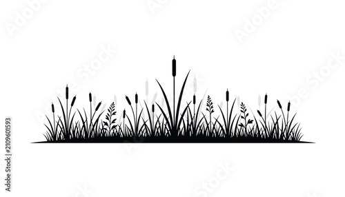 Reeds and wild marsh grass silhouettes standing in a horizontal row composition isolated on a clean white background.