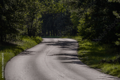 Fotografie Empty road through the forest with a paved surface, transport