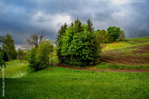 Hillside with tree and field, cloudy sky before storm, farmland, Czech paradise.