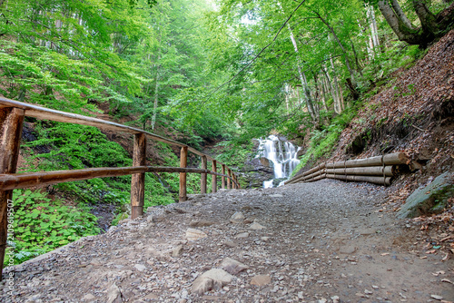 Path leads to waterfall surrounded by trees in forest during daytime