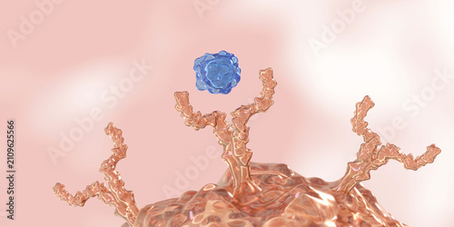 Obraz na płótnie Ligand-gated ion channels