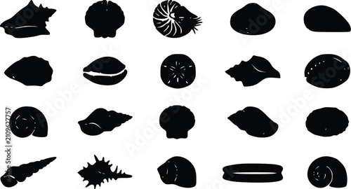 Foto Set of black silhouette icons of different sea shells and various ocean mollusks