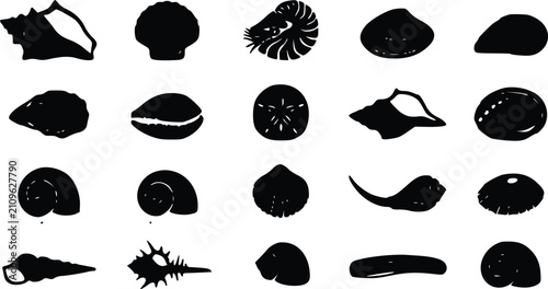 Foto Set of black silhouette icons of different sea shells and mollusks isolated on a