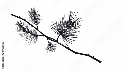 Detailed Illustration of Pine Branch with Needles.
