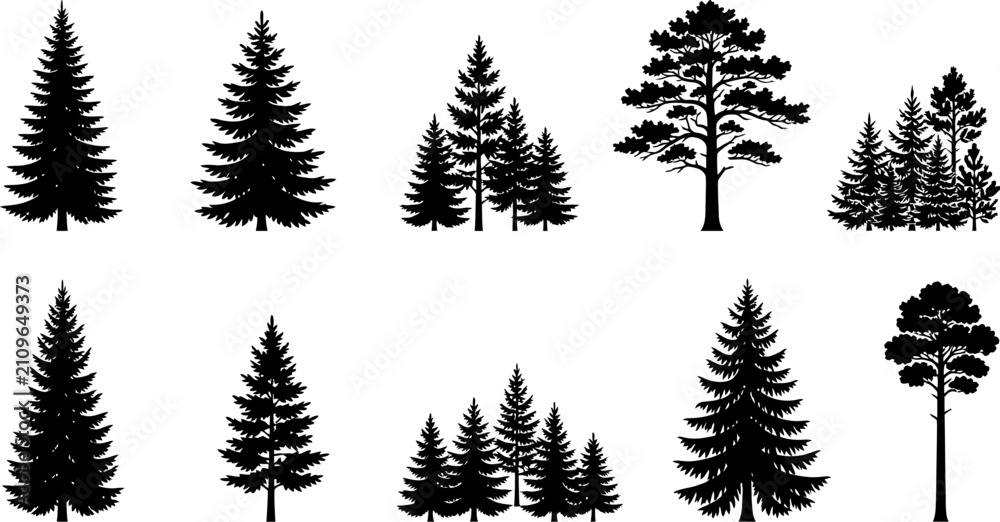 Obraz premium collection of pine trees silhouettes