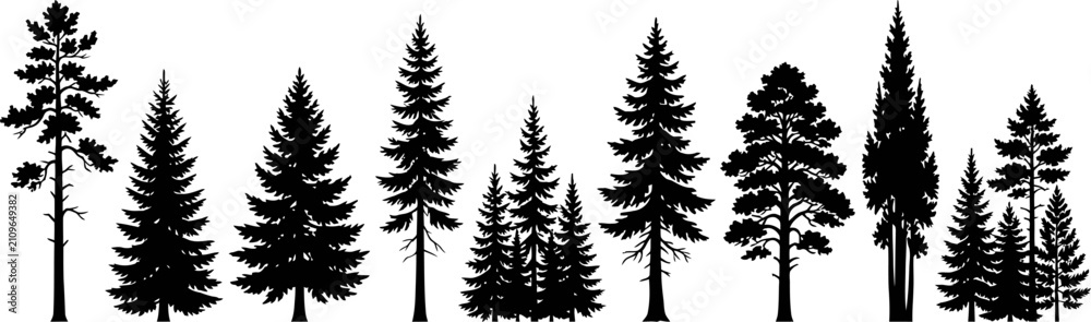 Obraz premium collection of silhouettes of various trees