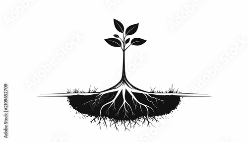 Fotografie Young Plant with Roots Growing in Soil.