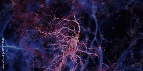 Canvas Print Microscopic image showing silver chromate stained white matter astrocytes in cer