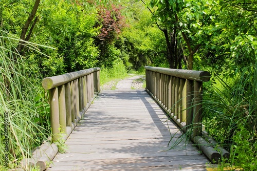 The scenery of Xixi Wetland in Hangzhou, China