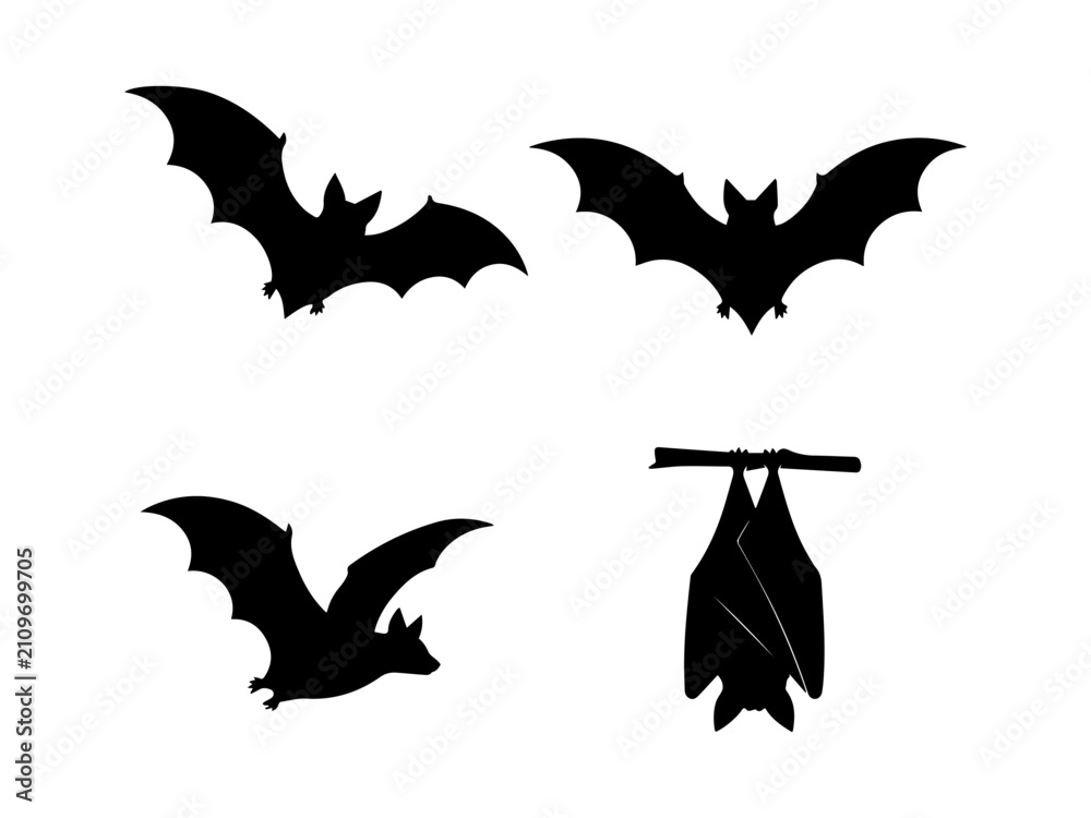 Fototapeta premium Bat Silhouette Collection Vector Set