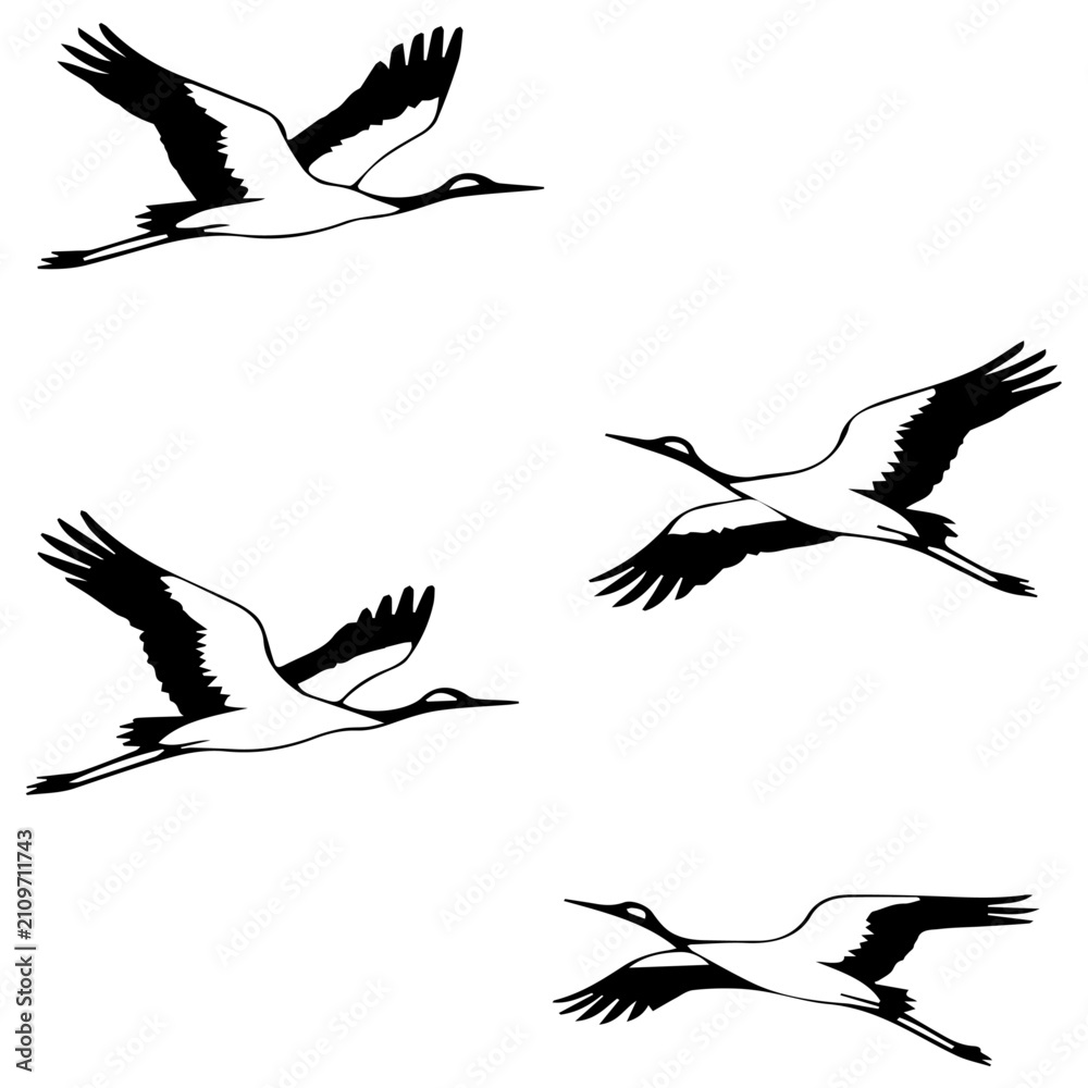 Naklejka premium Flying cranes silhouette illustration. Minimalist flock of birds in flight graphic design.