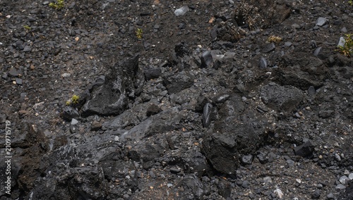 Rough Black Volcanic Ash and Rocks with Sparse Green Vegetation