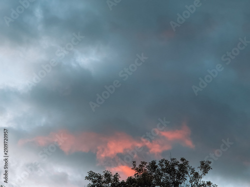Dramatic evening storm clouds with pink sunset light over tree silhouette.