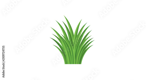 Green grass tuft on white background