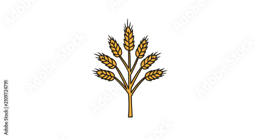 Golden wheat ear with multiple grain stalks