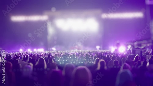 Crowd enjoying live music performance at illuminated outdoor festival