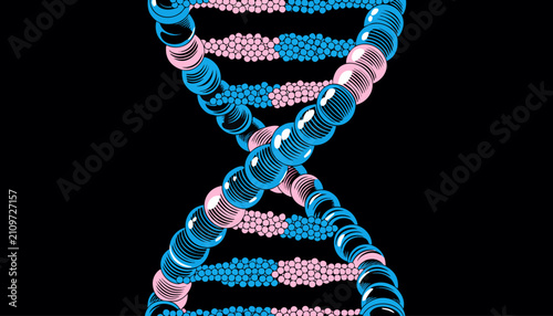 Photos Double helix DNA strand model isolated on transparent background, showcasing genetics and molecular biology