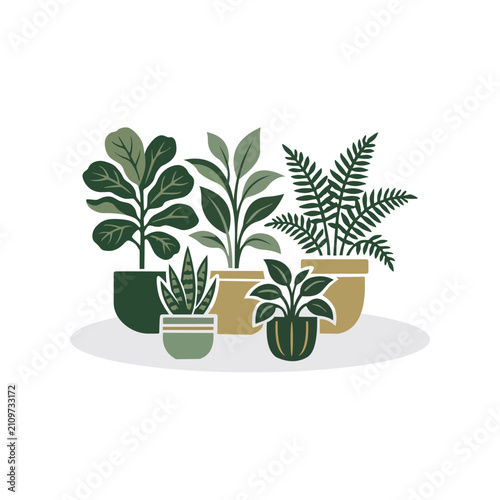 Potted Fiddle Leaf Fig Plant Vector Illustration Minimalist Houseplant Icon in Frame for Interior Design, Gardening, or Eco Brand