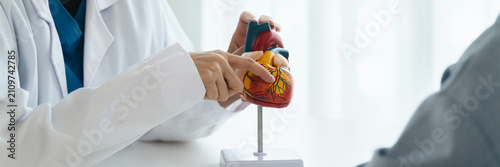 cardiologist shows a heart model to a patient discussing heart disease in hospital
