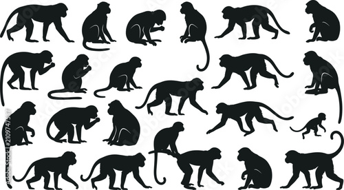Photography Monkey silhouette collection with various macaque and primate poses, jungle wild animal icons, exotic nature wildlife elements set, isolated monkey figures