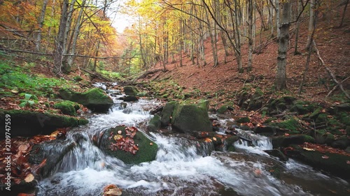 Mountain river with autumn logs and leaves