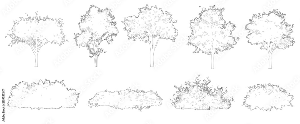 Obraz premium Vector set of trees and bushes in elevation view for use in architectural drawings 