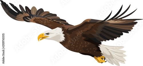 Foto Majestic bald eagle flying with wings spread wide predator wildlife illustration