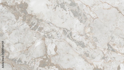 Fotografija Light Gray Marble Texture with Veining and Subtle Gold Accents