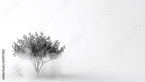 Tableau sur toile Lonely Tree Emerging from Fog on White Background