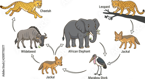 Quadro su tela African savanna food chain ecosystem diagram with elephant cheetah leopard wilde