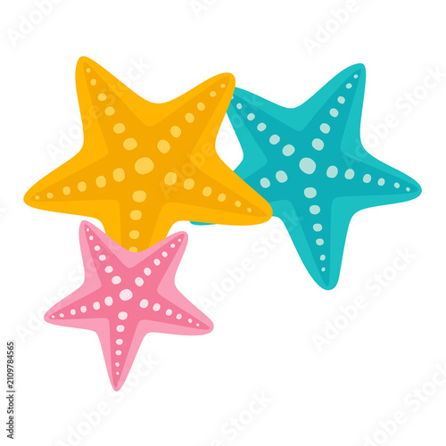Colorful Starfish Graphic Illustration for Summer Beach and Ocean Design