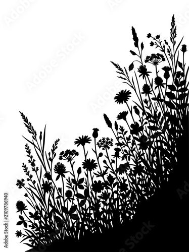Silhouette of Wild Meadow Flowers and Grasses in Black and White