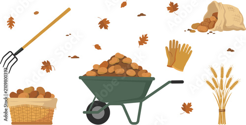 Quadro su tela Autumn Potato Harvest Vector Element Set Featuring Wheelbarrow Loaded With Potat