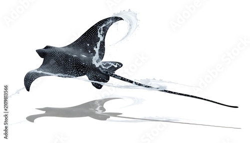 Spotted eagle ray gliding gracefully with shadow cut out isolated on white background. AI Generated.
