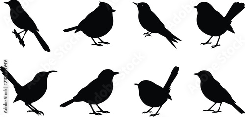 Foto Bird Silhouette Vector Icon Set with Songbirds and Perching Wild Birds Collectio