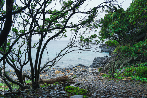 Quadro su tela 大川河口に広がる屋久島南西部の海岸風景