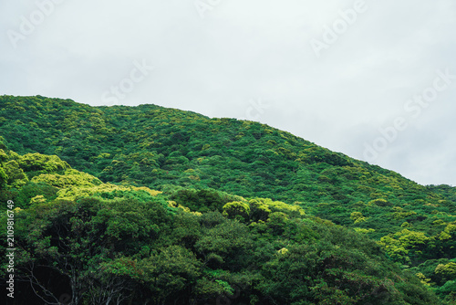 Canvastavla 大川河口に広がる屋久島南西部の海岸風景