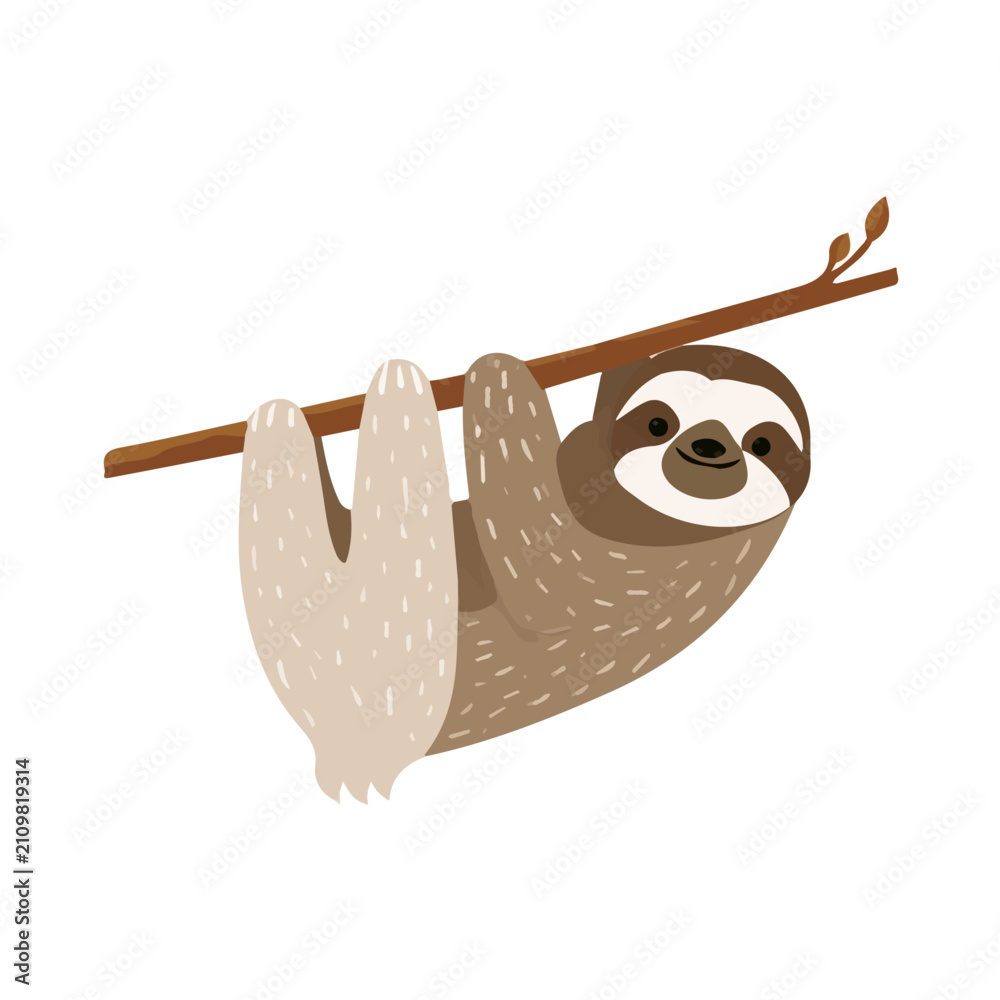Fototapeta premium Clean flat 2D illustration of Sloth, simple contemporary design, isolated on a white background.