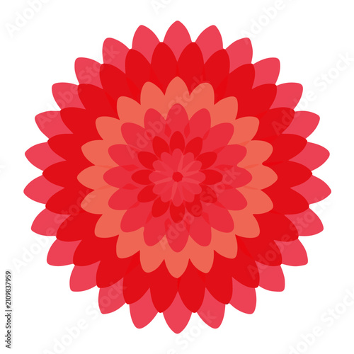 Clean flat 2D illustration of Dahlia Flower, simple contemporary design, isolated on a white background.